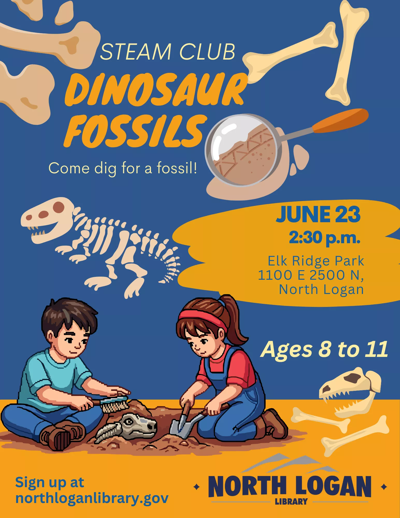dinosaur fossils