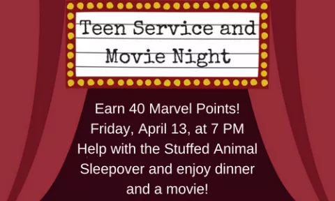 Teen Service Project and Movie Night